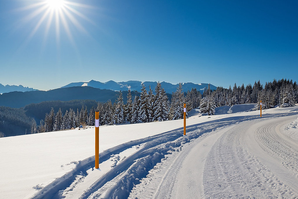 Marking rods JANSEN snow