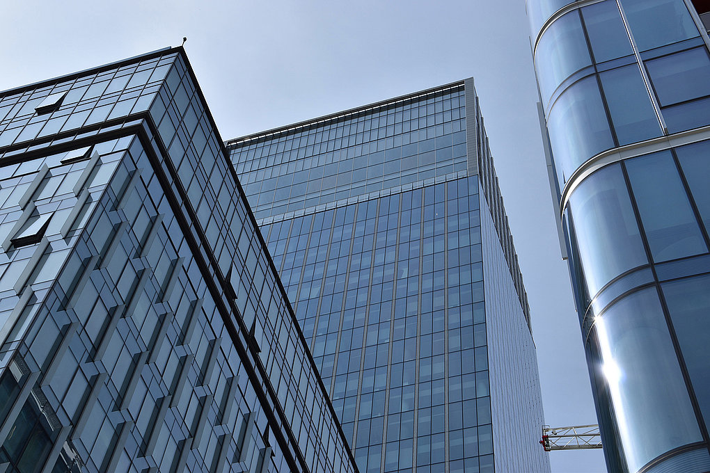 Olivia Star Business Center