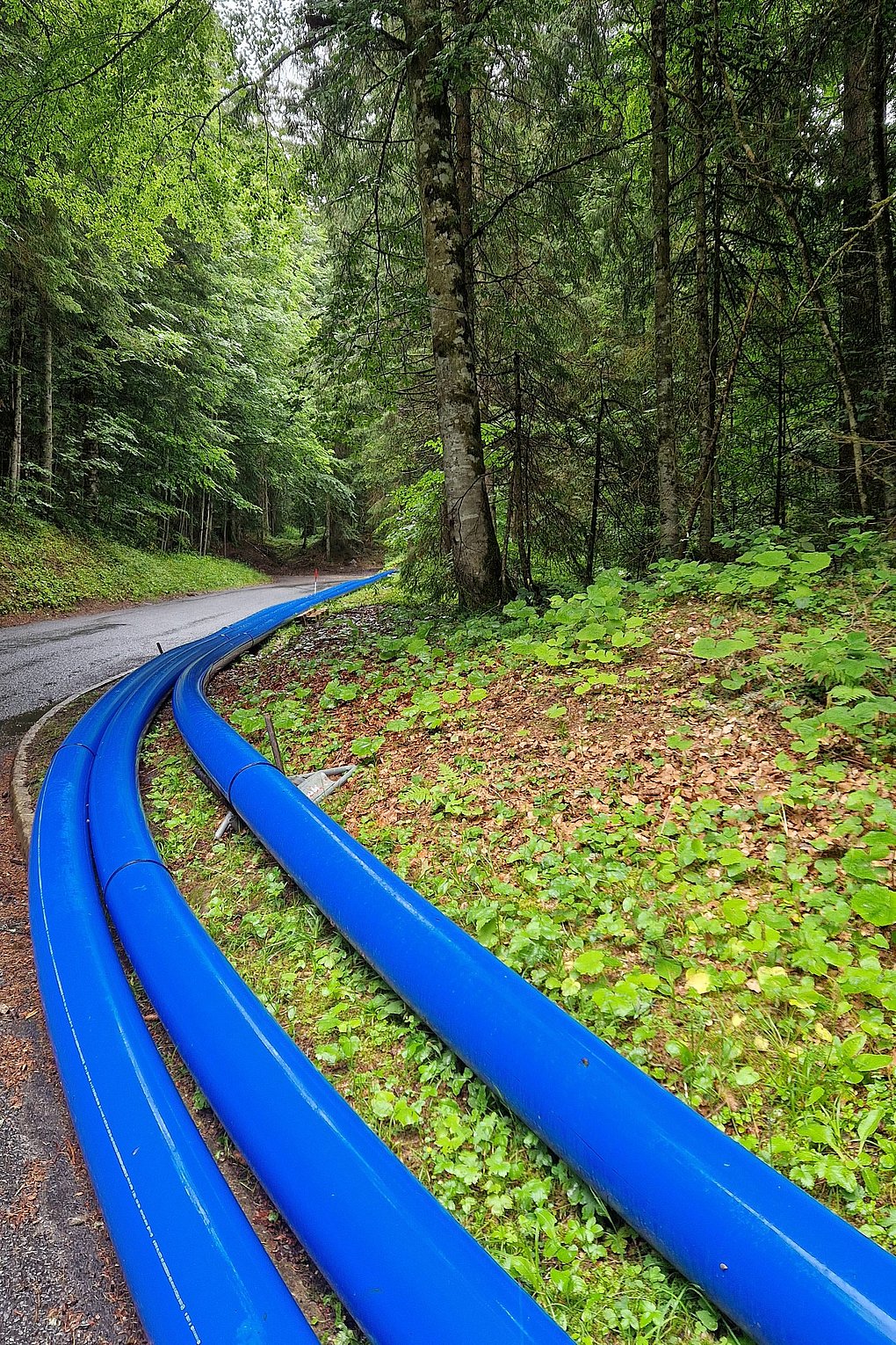 Renouvellement d'une conduite d'eau potable