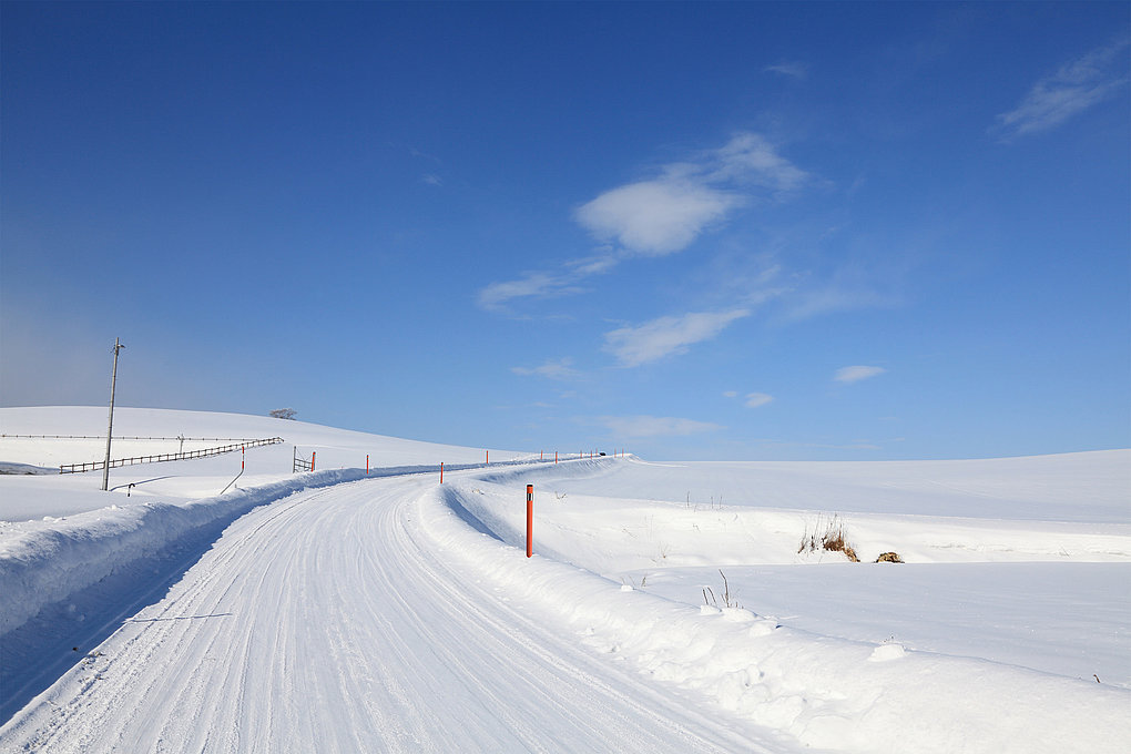 Aste di marcatura JANSEN neve