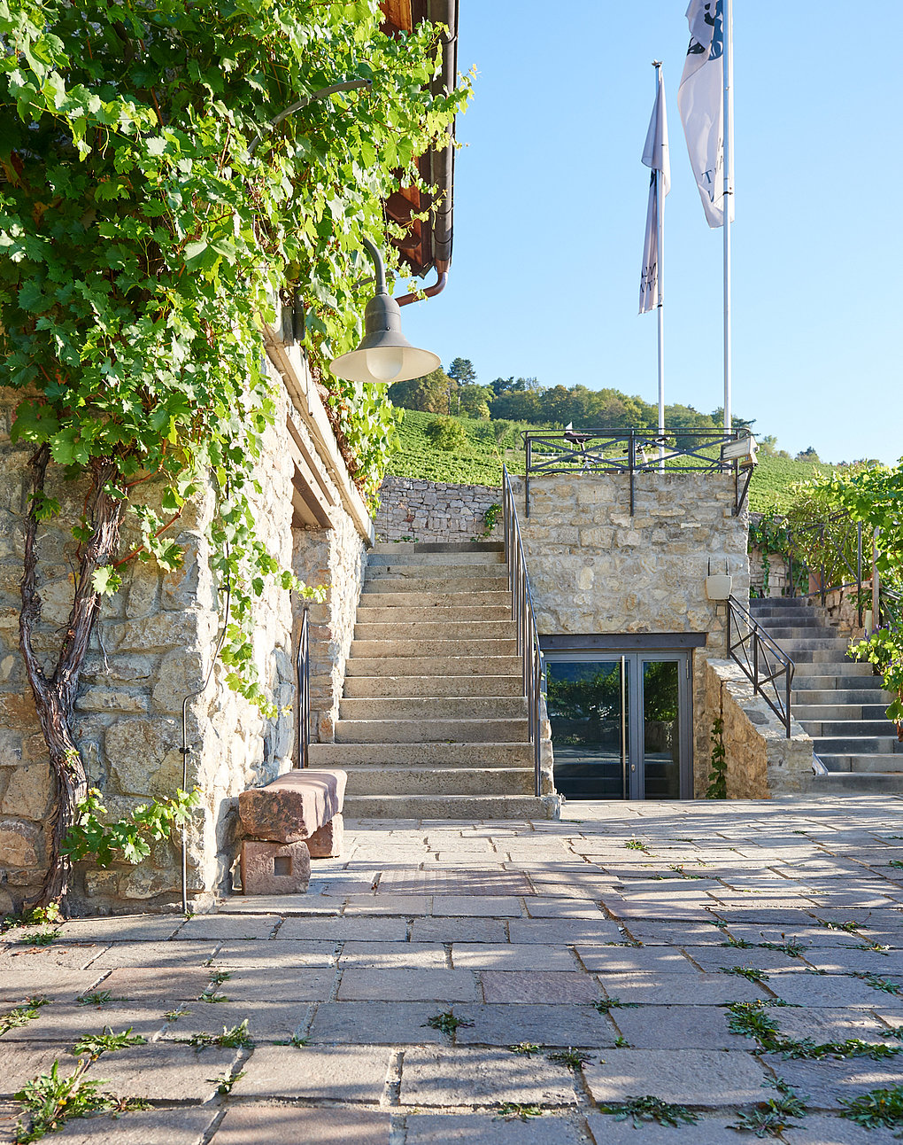 Azienda vinicola am Stein