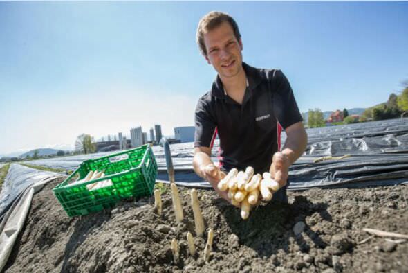 Jansen Jansen AG - Beheizte Felder lassen Spargeln schneller wachsen